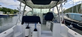 2013, Boston Whaler, Conquest 315