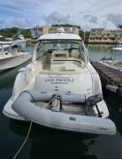 2004, Sea Ray, 455
