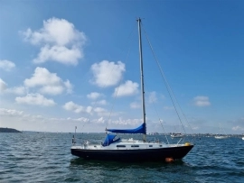 1984, Dolphin, Seeker 31