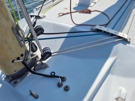 1984, Dolphin, Seeker 31