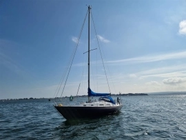 1984, Dolphin, Seeker 31