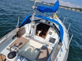 1984, Dolphin, Seeker 31