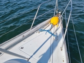 1984, Dolphin, Seeker 31