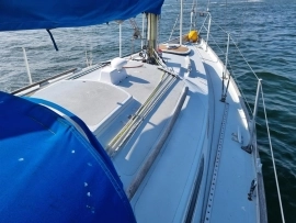 1984, Dolphin, Seeker 31