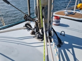 1984, Dolphin, Seeker 31