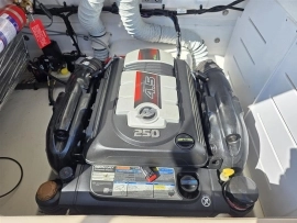 2020, Bayliner, VR6