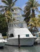 2008, Cabo, Flybridge Sportfisherman