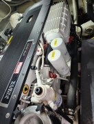 2010, 500 Sport Bridge