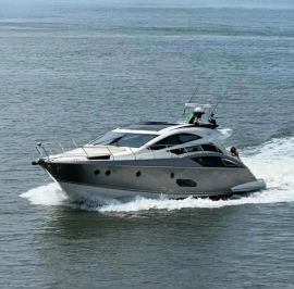 2010, 500 Sport Bridge