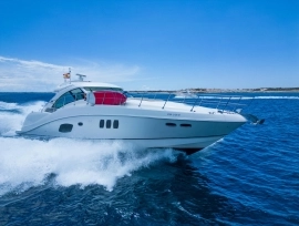 2008, Searay, 55
