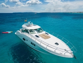 2008, Searay, 55