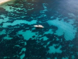 2007, Sunseeker, Predator 62