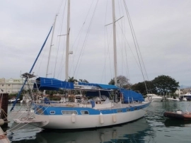 1981, Wauquiez, Amphitrite 43