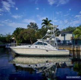 2002, Pursuit, 3800 Express