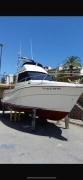 2005, Rodman, 870
