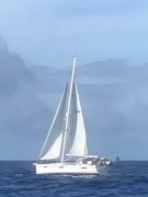 2018, Catalina, 425