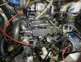 1989, Freedom, 45 CC