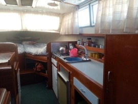 1973, Custom, River Cruiser
