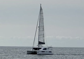 2015, Leopard, 48