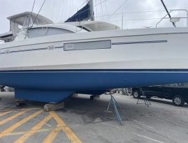 2015, Leopard, 48