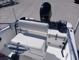 2010, Nautic Star, 1810