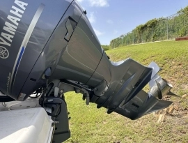 2020, Robalo, R242