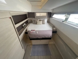 2019, Leopard, 50