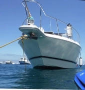 1995, Wellcraft, 36 Martinique