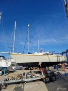 1984, Hunter, HB31