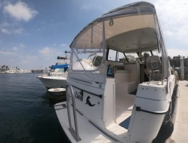 2005, Bayliner, 289/2859