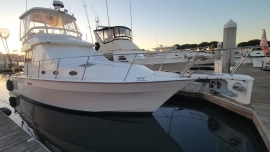 1990, Mediterranean, 38 Convertible