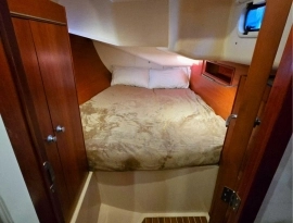 2015, Hanse, 455