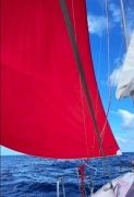 2015, Hanse, 455