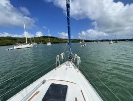 1990, Catalina, Classic 41