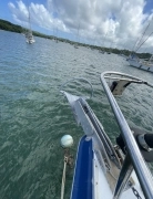 1990, Catalina, Classic 41