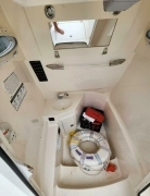 2020, Cobia Boats, 280 CC