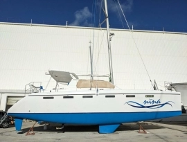 2010, African Cats, Fast Cat 435