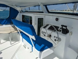 2010, African Cats, Fast Cat 435