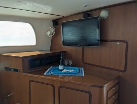 2010, African Cats, Fast Cat 435
