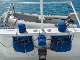 2010, African Cats, Fast Cat 435
