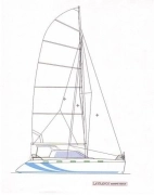 2010, African Cats, Fast Cat 435