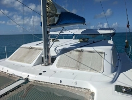 2010, African Cats, Fast Cat 435