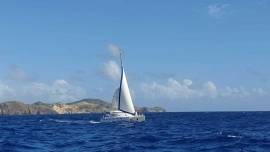 2010, African Cats, Fast Cat 435