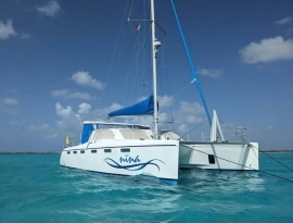 2010, African Cats, Fast Cat 435