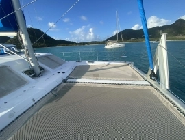 2010, African Cats, Fast Cat 435