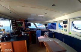 2014, Leopard, 39 