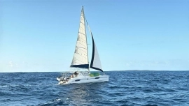 2014, Leopard, 39 