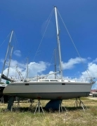 1994, Catalina, 32