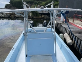 2001, Twin Vee