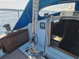 1984, Dolphin, Seeker 31